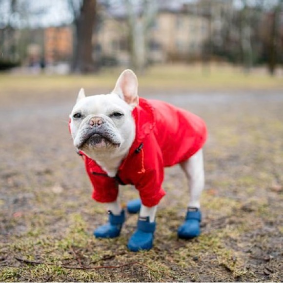 Red Dog Raincoat - Picture 2 of 8